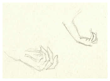 Visualizza l'immagine "FD D 1240"